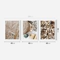Zestaw obrazy w ramie 40x50 galeria - Boho, wnętrza, liście, trawy - rama biała