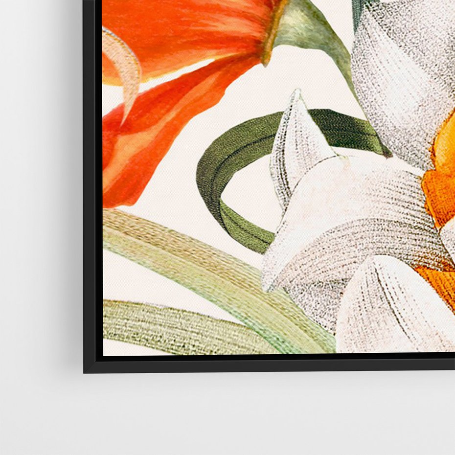 Obraz w ramie 50x70 - Polne Kwiaty - polne kwiaty, na białym tle - rama czarna