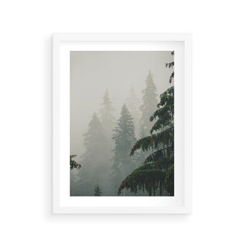 Plakat w ramie 30x40 - Mglista przemiana lasu - las, mgła - rama biała