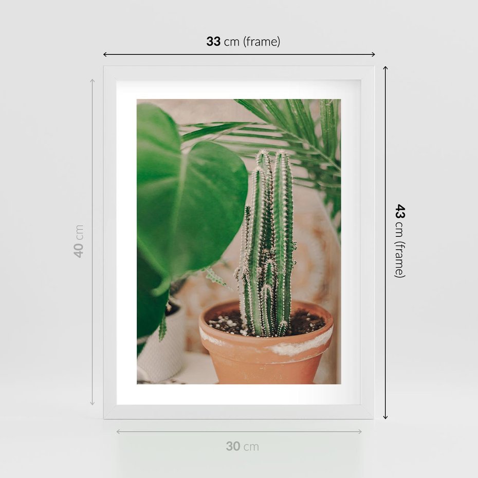 Plakat w ramie 30x40 - Boho Urok - kaktus w doniczce, gliniana doniczka - rama biała
