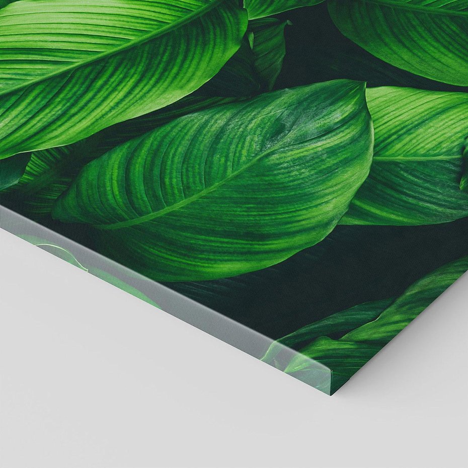 Obraz na płótnie 120x60 - Palma Liście Kwiat - palma, liście