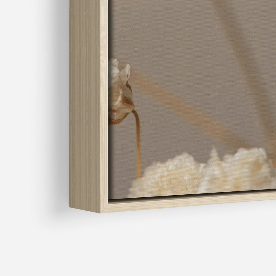 Obraz w ramie 70x100 - Subtelna gipsówka - gipsówka, suche - rama drewno
