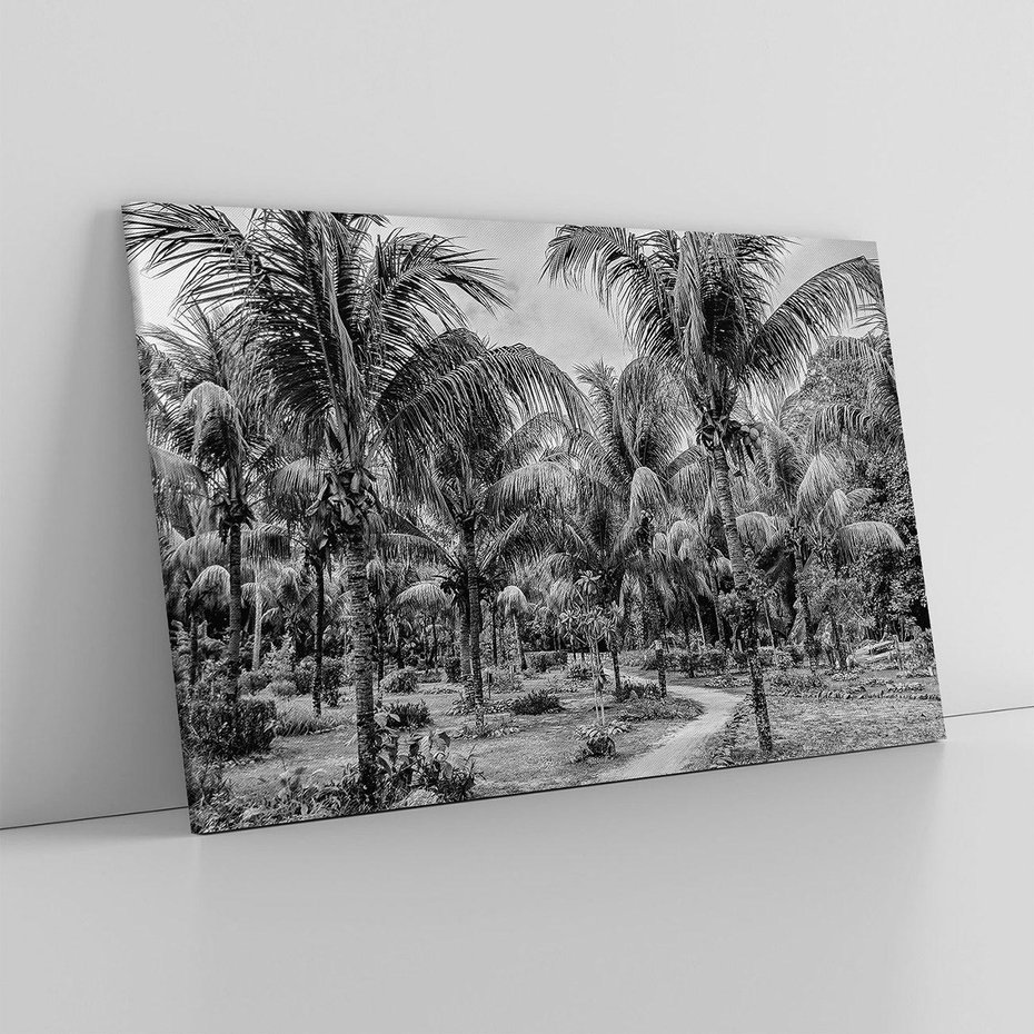 Obraz na płótnie 70x50 - Mroczna Ścieżka Tropików - czarno biała fotografia, ścieżka pośród palm