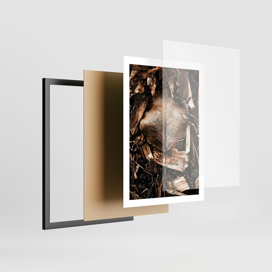 Plakat w ramie 50x70 - Samotny Liść - liść, brąz - rama czarna