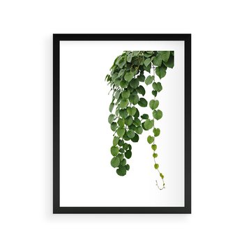 Plakat w ramie 50x70 - Świeżość Natury - liście, zielone - rama czarna