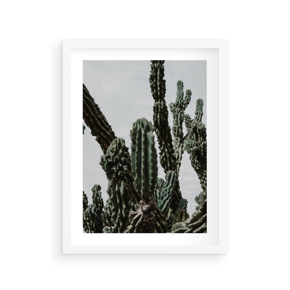 Plakat w ramie 30x40 - Boho oaza wśród kaktusów - kaktusy, pustynia - rama biała