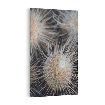 Obraz na płótnie 80x120 - Ulotna Piękność Natury - makro, dmuchawce