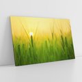Obraz na płótnie 120x80 - Zboże w kłosach: Oda do plonów natury - zboże, kłos