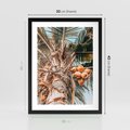 Plakat w ramie 30x40 - Tropikalna Palma: Fotografia z Kokosami - palma kokosowa, kokosy - rama czarna