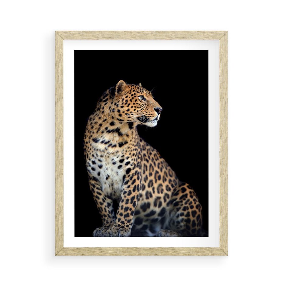 Plakat w ramie 50x70 - Elegancja Jaguarowej Pantery - jaguar, pantera - rama drewno