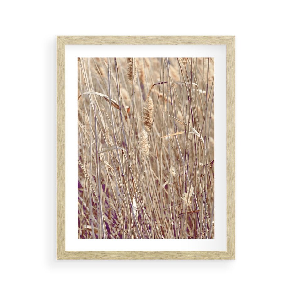 Plakat w ramie 40x50 - Suche Trawy w Wyjątkowym Stylu - suche trawy, boho styl - rama drewno