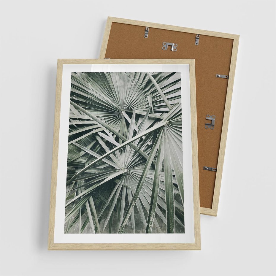 Plakat w ramie 50x70 - Palmy w Zgaszonej Zieleni - palmy, tropikalne liście - rama drewno