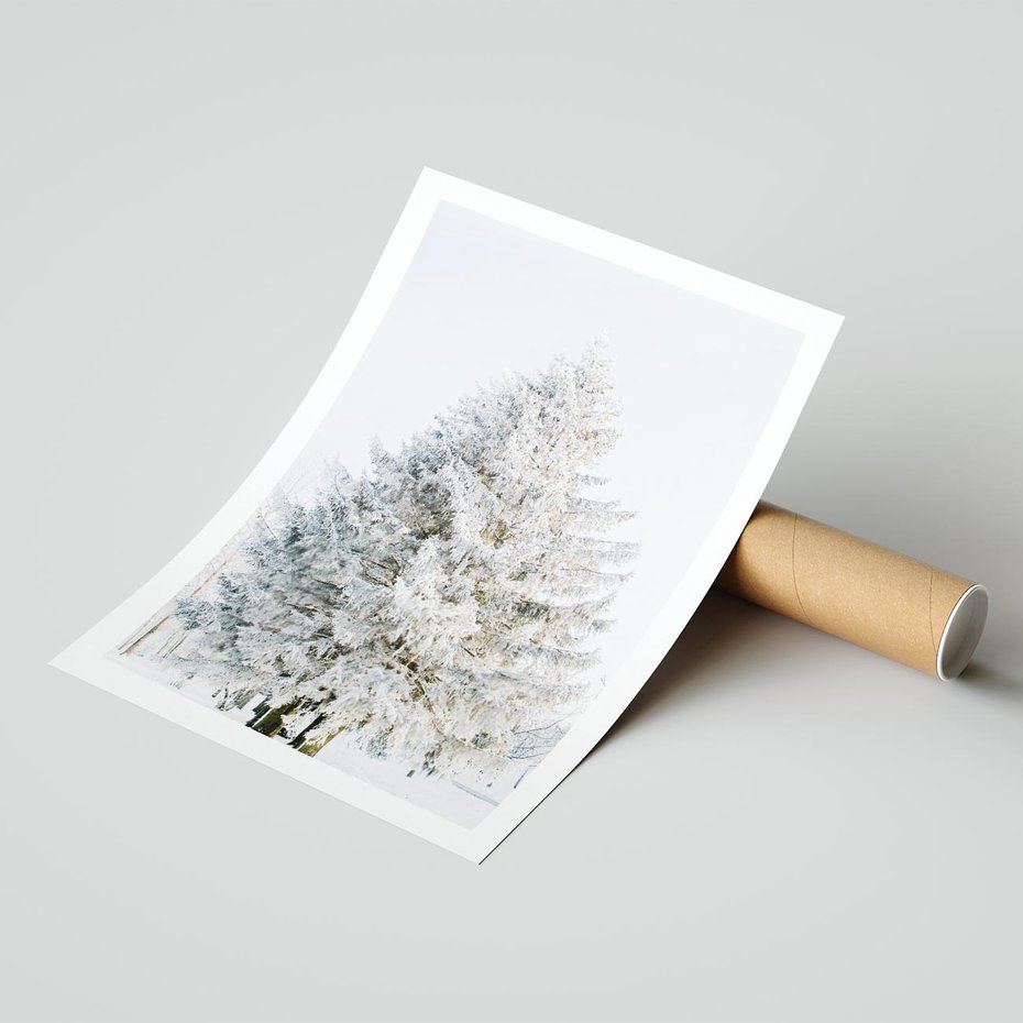 Plakat bez ramy 30x40 - Zimowa Poezja w Ośnieżonym Drzewie - ośnieżone drzewo, zima