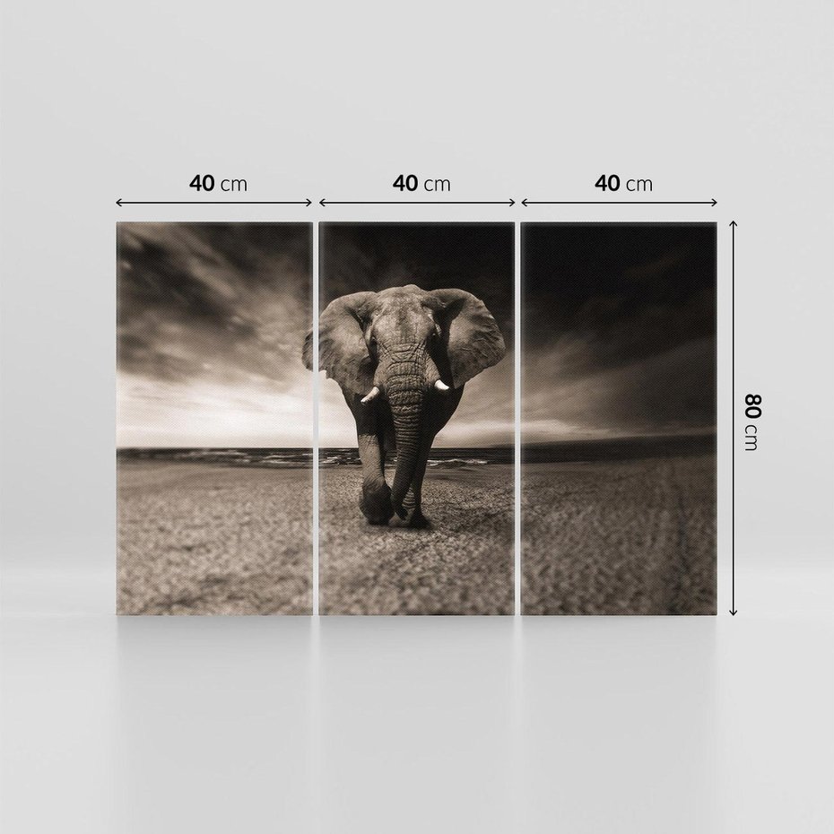 Obraz na płótnie 120x80 - Słoń - Wielki Przyjaciel Morza - słoń, plaża