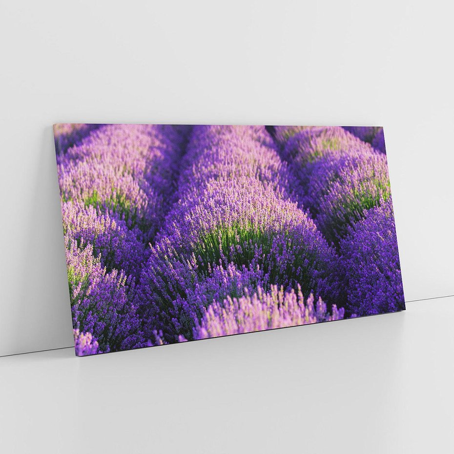 Obraz na płótnie 120x60 - Malownicze Pole Lawendy - lawenda, pole