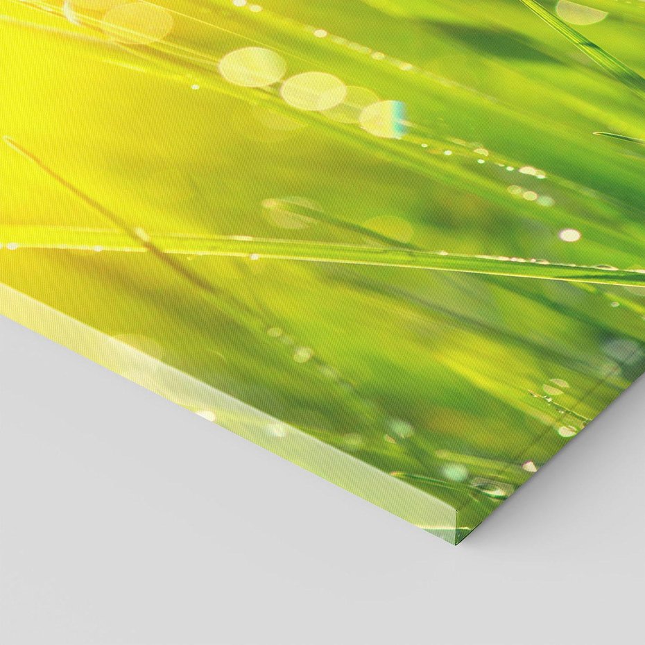 Obraz na płótnie 80x120 - Piękno Poranka - łąka, trawa