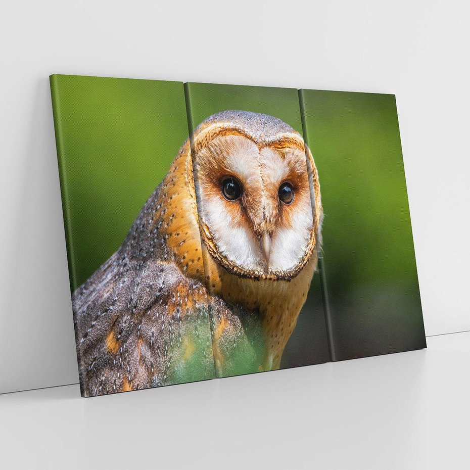 Obraz na płótnie 120x80 - Sowa nocą - sowa, ptak