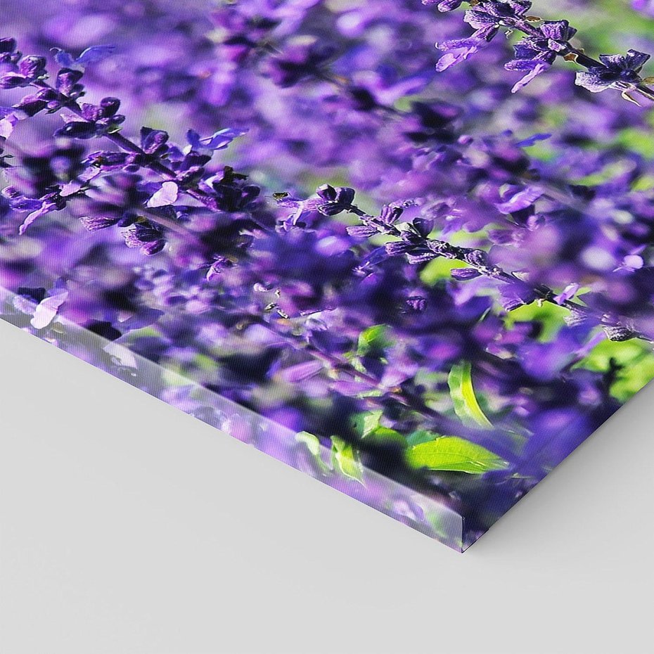 Obraz na płótnie 150x50 - Lawendowa Mgła - lawenda, kwiat