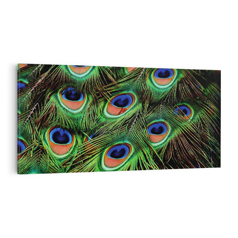 Obraz na płótnie 100x50 - Pawi Ogon - Piękno i Wspaniałość - paw, pióra
