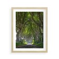 Plakat w ramie 40x50 - Magiczny Las - drzewa, las - rama drewno