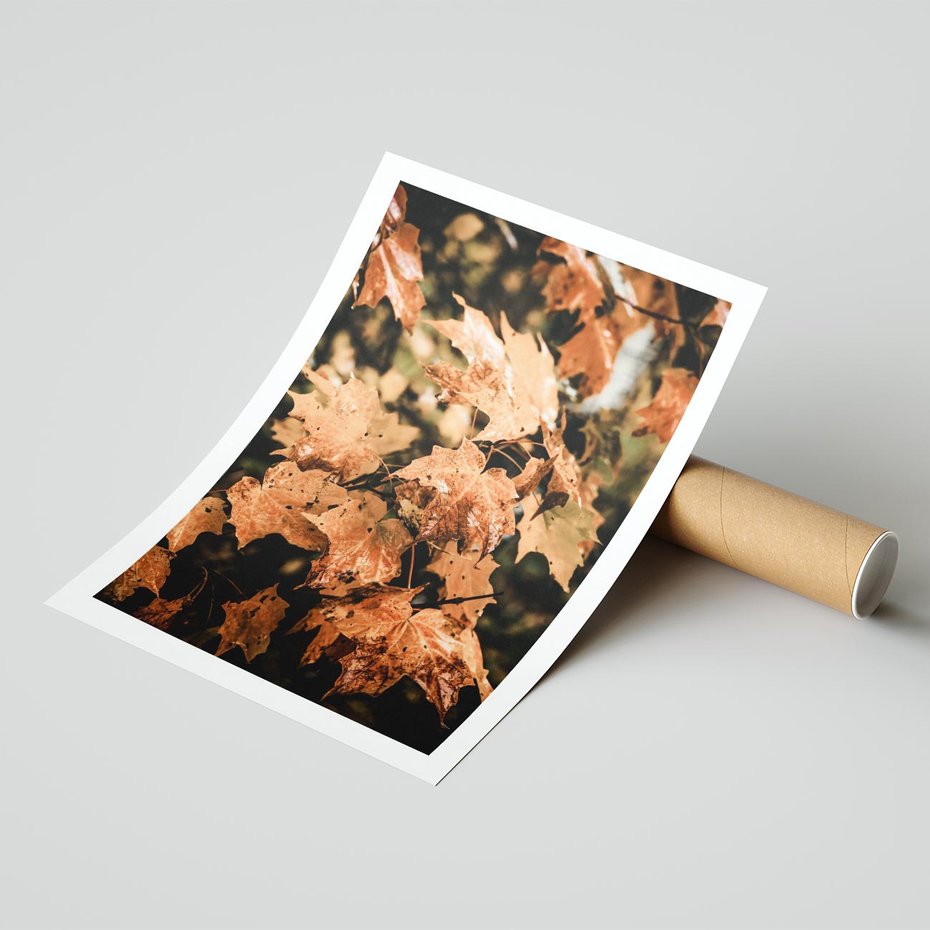 Plakat bez ramy 21x30 - Ciepło Jesieni - jesienne pomarańczowe liśćie, jesień