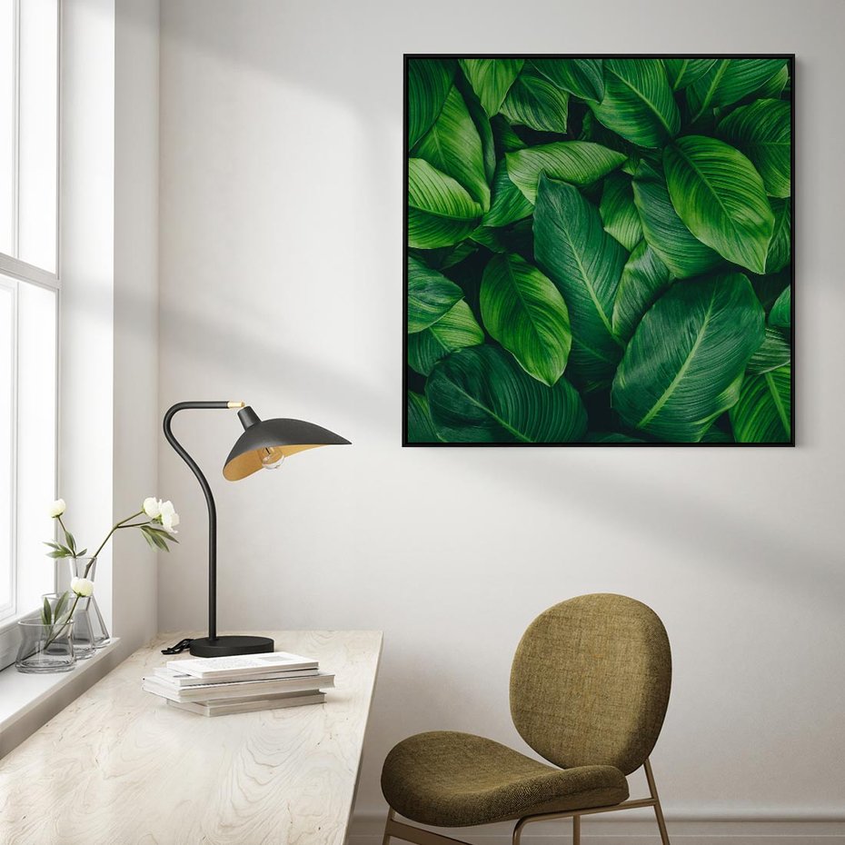 Obraz w ramie 50x50 - Palma Liście Kwiat - palma, liście - rama czarna