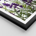 Plakat w ramie 40x50 - Fioletowa harmonia lawendy - lawenda, fiolet - rama czarna
