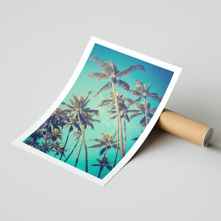 Plakat bez ramy 40x50 - Tropikalne palmy w krainie słonecznych wakacji - palmy, tropiki
