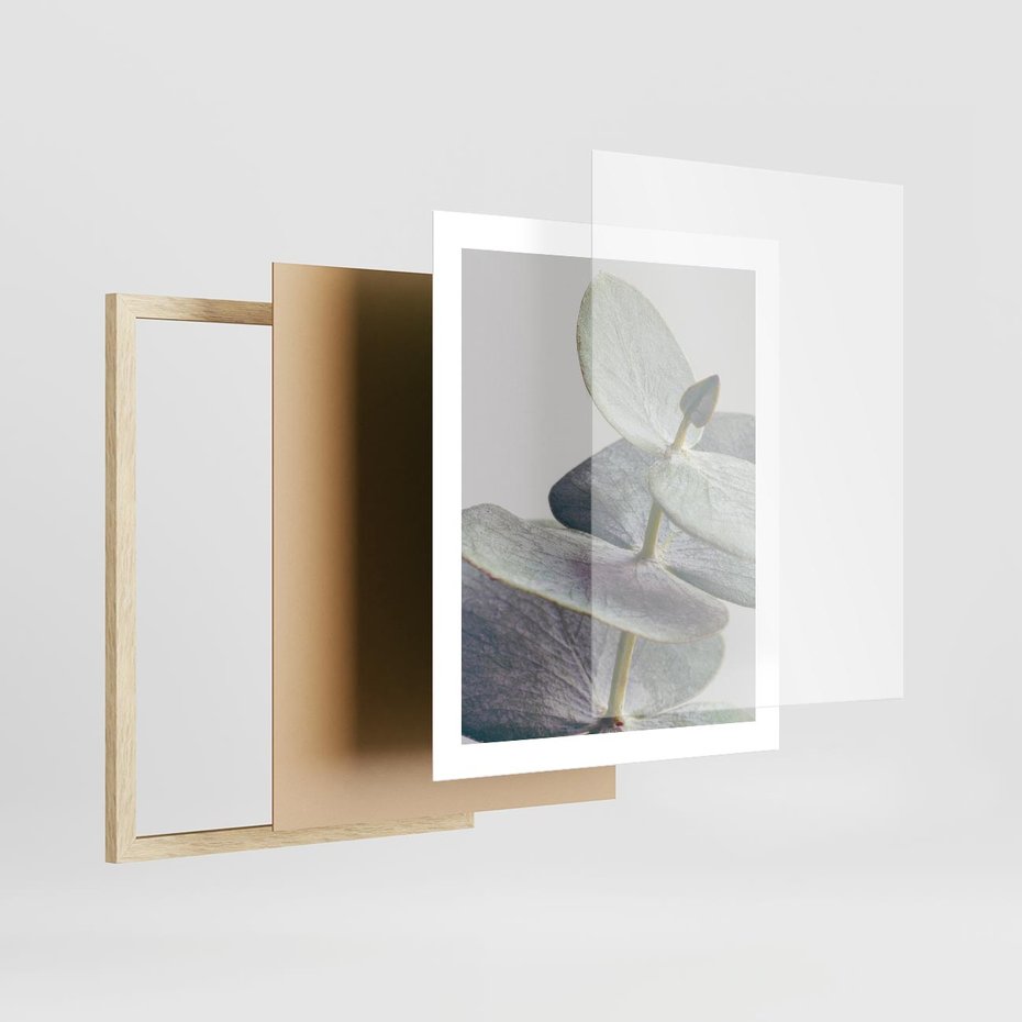 Plakat w ramie 40x50 - Zbliżenie Liści Eukaliptusa - eukaliptus, zbliżenie - rama drewno