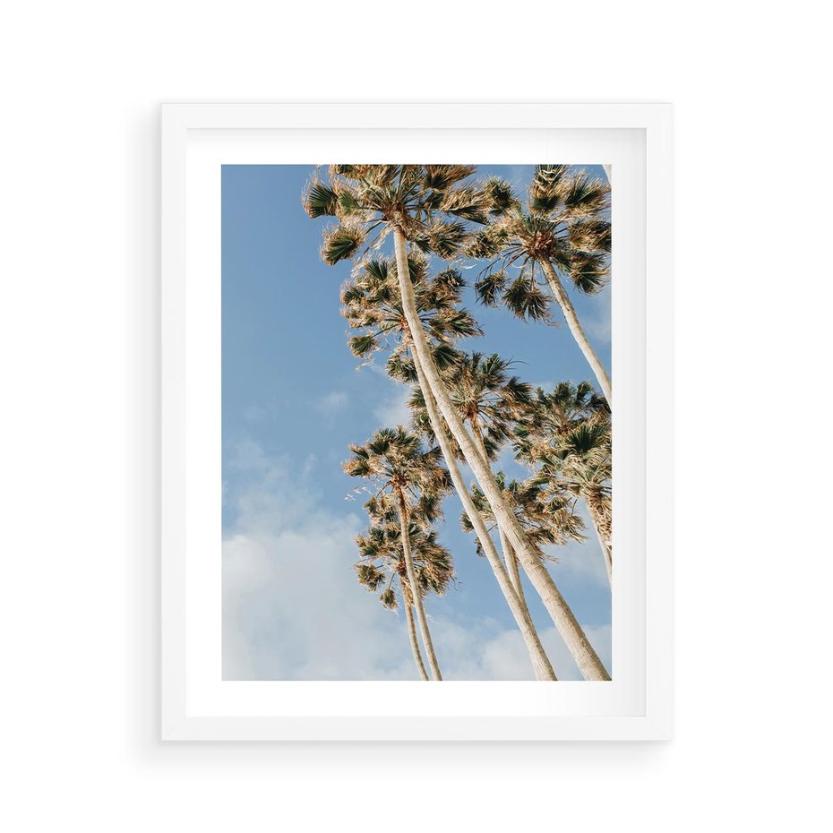 Plakat w ramie 40x50 - Pod Niebem Palmy - palmy na niebieskim niebie - rama biała