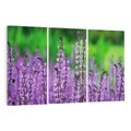 Obraz na płótnie 120x80 - Lawendowy urok - lawenda, kwiaty