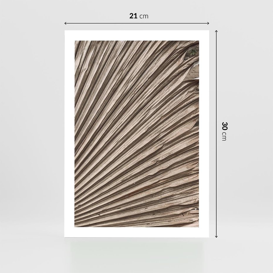 Plakat bez ramy 21x30 - Liść Palmy w Wyjątkowej Kompozycji - suchy liść palmy, boho styl