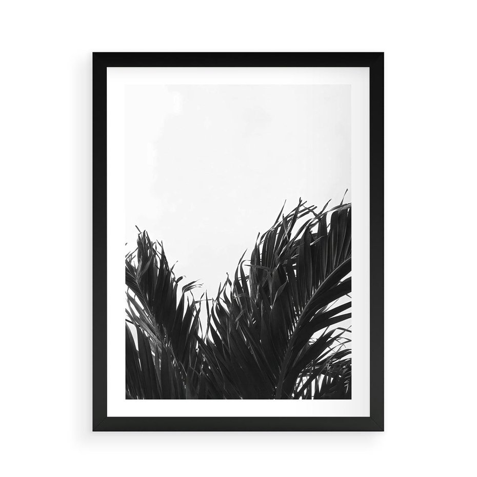 Plakat w ramie 50x70 - Tropikalna Uroda w Czerni i Bieli - fotografia czarno biała, liście palmy - rama czarna