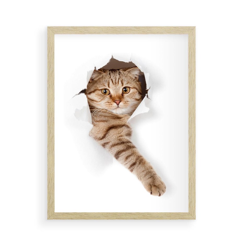 Plakat w ramie 50x70 - Kot w Dziurze - kot, dziura - rama drewno