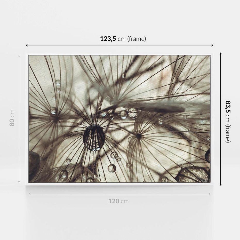 Obraz w ramie 120x80 - Lekkie dmuchawce - dmuchawce, krople - rama biała