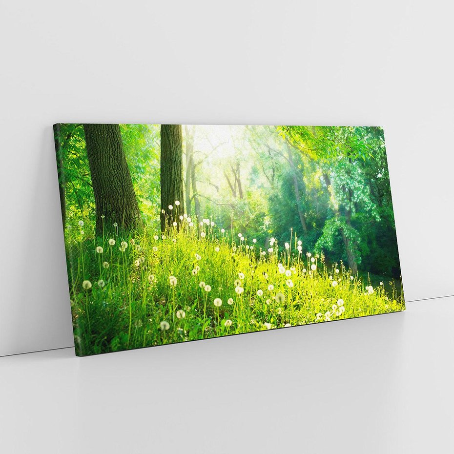 Obraz na płótnie 120x60 - Urok natury - magiczny las na płótnie - las, trawa