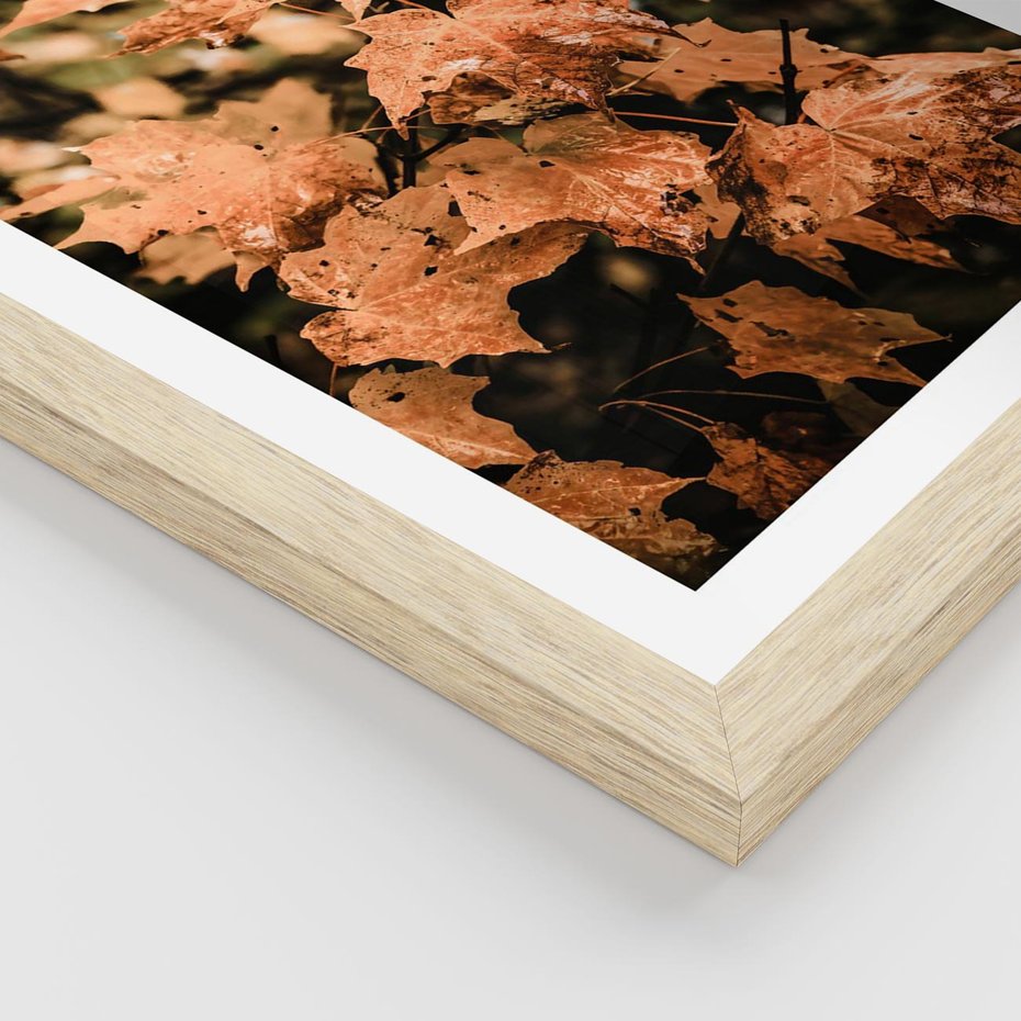 Plakat w ramie 40x50 - Ciepło Jesieni - jesienne pomarańczowe liśćie, jesień - rama drewno