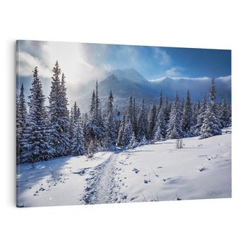 Obraz na płótnie 120x80 - Zimowe góry w lesie - góry, zima
