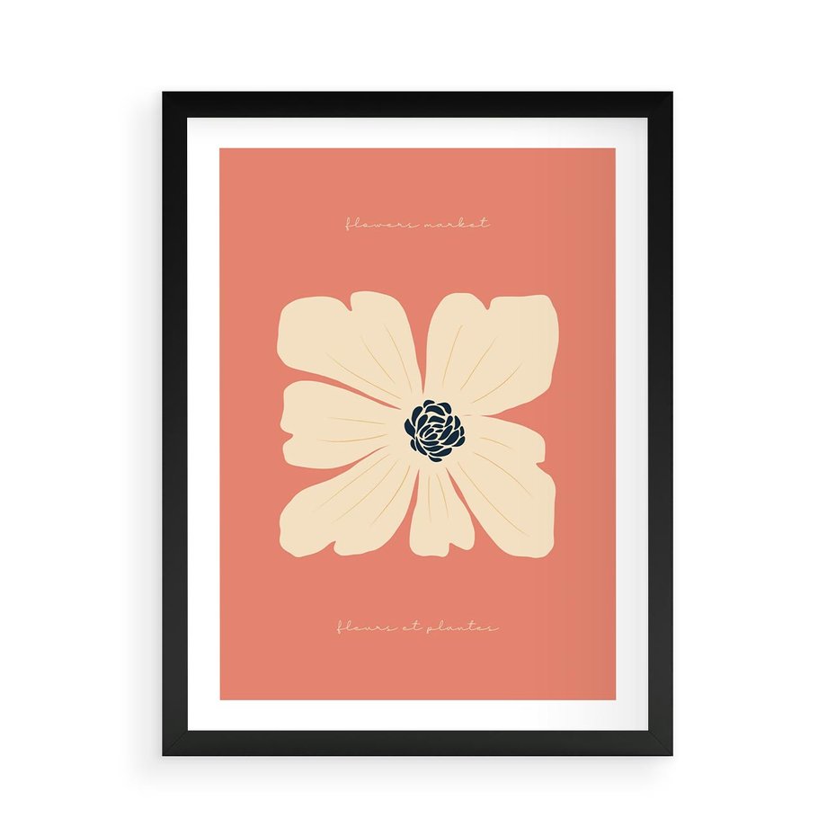 Plakat w ramie 50x70 - Malowane Kolorowe Echa - minimalistyczna grafika, biały kwiat na różowym tle - rama czarna