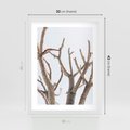 Plakat w ramie 30x40 - Pustynna Harmonia Gałęzi - pustynna roślina, suche gałęzie - rama biała