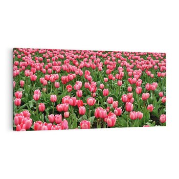 Obraz na płótnie 140x70 - Tulipanowe Elegancja - tulipany, kwiat