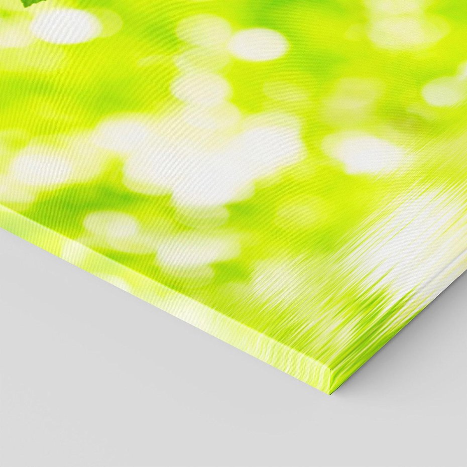 Obraz na płótnie 120x60 - Liście w Wodzie - liście, woda