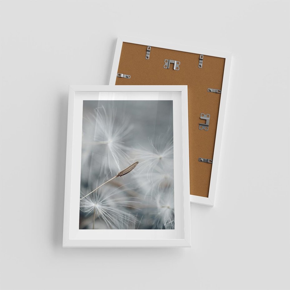 Plakat w ramie 30x40 - Piękno w Delikatności - dmuchawiec, makro zdjęcie - rama biała