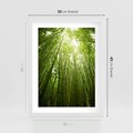Plakat w ramie 30x40 - Siła Natury - drzewa, las - rama biała