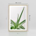 Plakat w ramie 50x70 - Zielone Piękno - aloes, liście - rama drewno