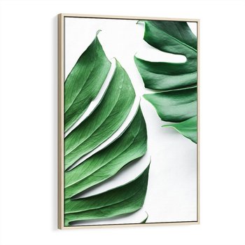 Obraz w ramie 50x70 - Monstera - Liście Kwiaty - monstera, liście - rama drewno