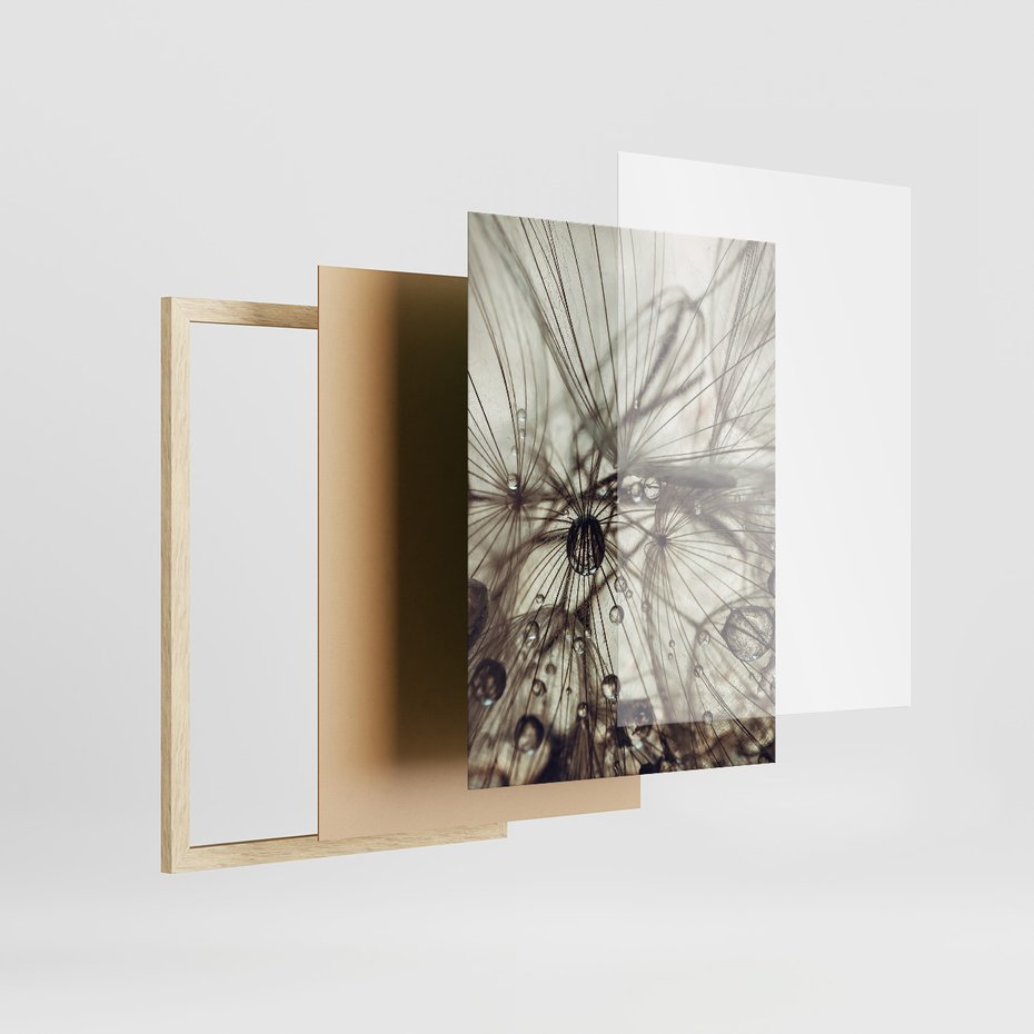 Zestaw obrazy w ramie 30x40 galeria - Dmuchawce, krople, wody, makro - rama drewno