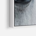 Obraz w ramie 80x120 - Oko Mocy - czarno białe zdjęcie, zbliżenie makro na oko konia - rama biała