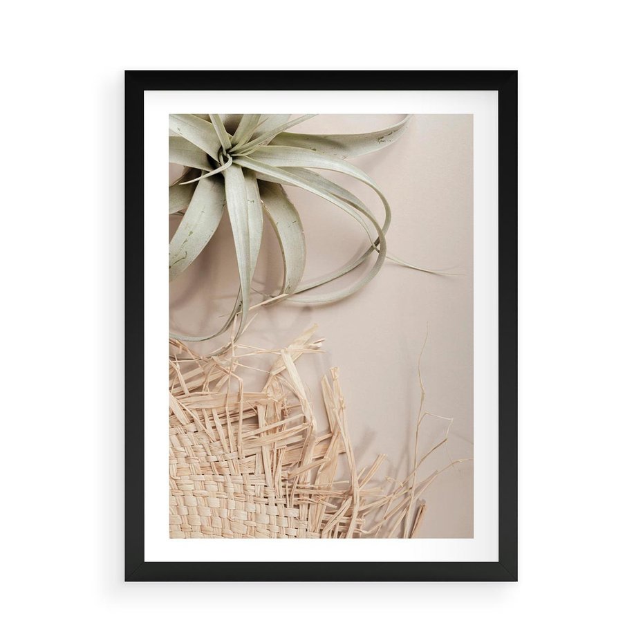 Plakat w ramie 50x70 - Aloes w Stylu Boho - kompozycja, wiklina - rama czarna