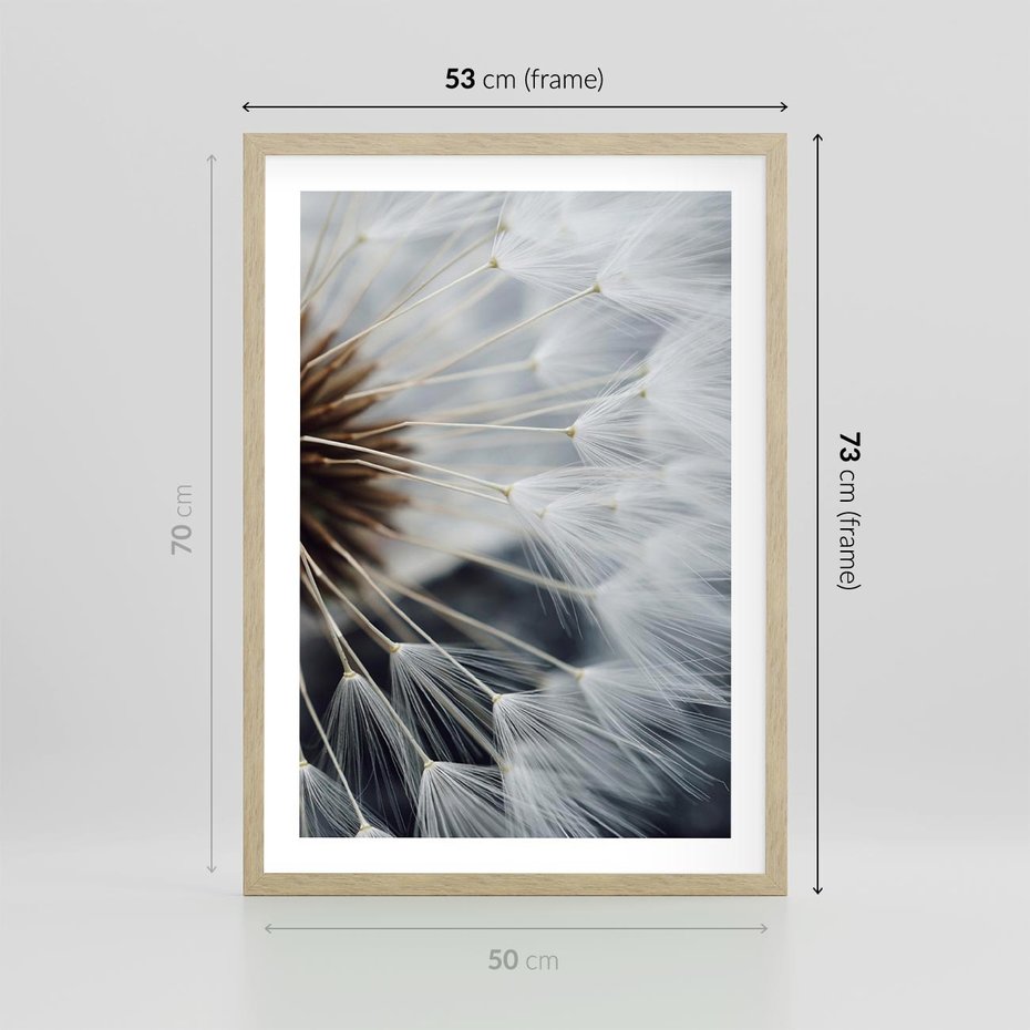 Plakat w ramie 50x70 - Dmuchawce w Naturze - dmuchawiec, zbliżenie - rama drewno